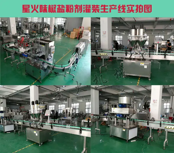 味椒盐粉剂npv加速梯子-全自动味椒盐灌装设备厂家实拍