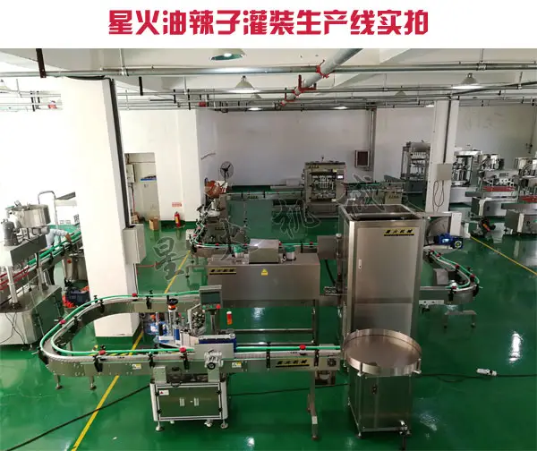 油辣子npv加速梯子-油辣子加工设备厂房实拍